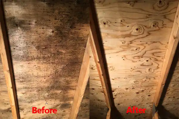 water damage restoration service Laurel Hollow